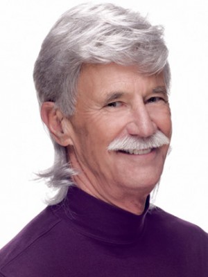 Synthetic Capless Handsome Mens Wig