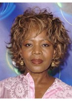 Cute Short Curly African American Lace Wigs for Women 