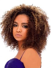 Wig Online Short Curly Brown No Bang African American Lace Wigs for Women 12 Inch