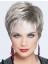 Glamorous Straight Synthetic Grey Wigs