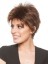 Short Capless Human Hair Wig