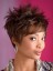 Short Fashion Cut Synthetic Wig