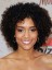 Dainty Short Curly African American Lace Wigs for Women
