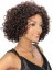 Quality Wigs Medium Curly African American Lace Wigs for Women 12 Inch