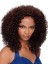 Cheap Asian Curly No Bang African American Lace Wigs for Women