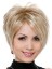 Short Straight Capless Synthetic Wigs