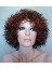 Stunning Short Curly Synthetic Capless Wig for Woman