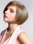 Chin Length Straight Synthetic Wig