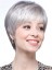 Straight Synthetic Short Lace Front Grey Wig