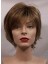 Style Short Straight Synthetic Wigs